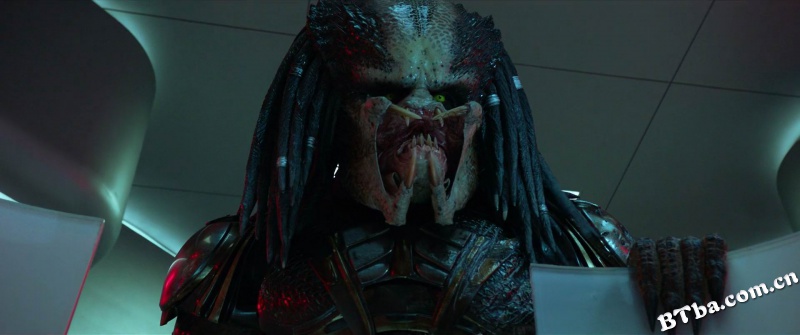 铁血战士/铁血战士新续集/终极战士：掠夺者(台)/The Predator