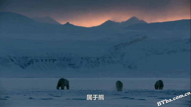 地球的夜晚：夜中取景/地球的夜晚：幕后花絮/Night on Earth: Shot in the Dark