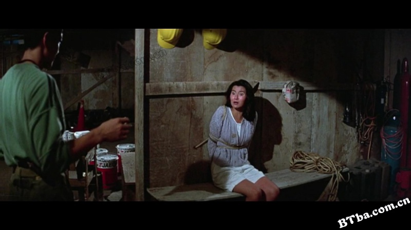 警察故事续集/警察故事2/Police Story II