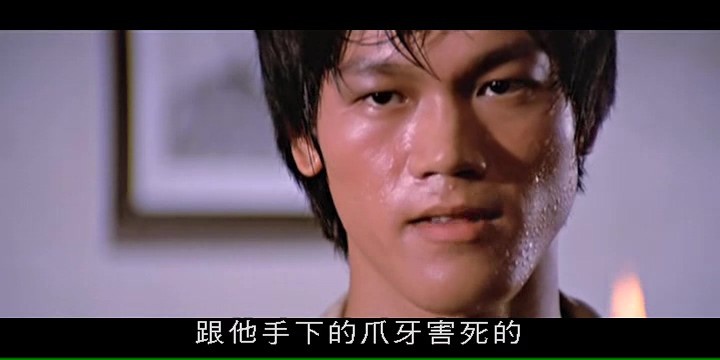 太极拳/The Shadow Boxer