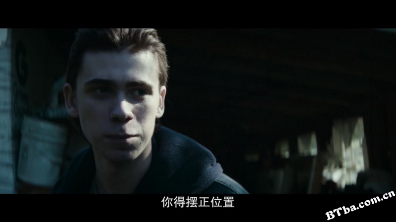 继任蝰蛇/Inherit the Viper