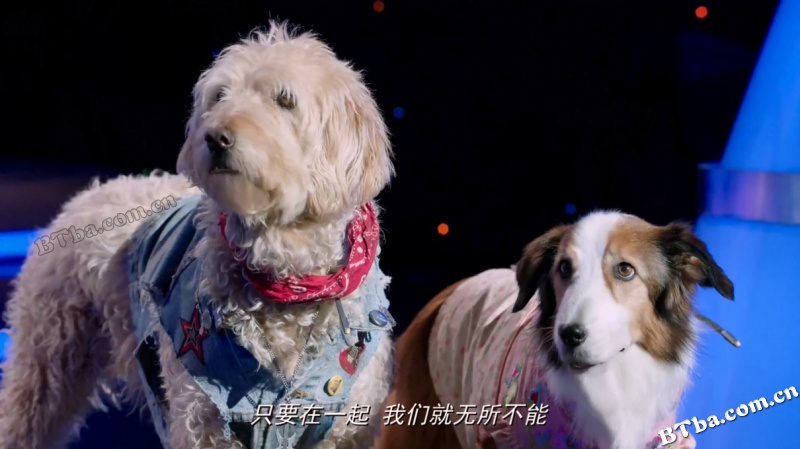 萌犬好声音3/Pup Star: World Tour