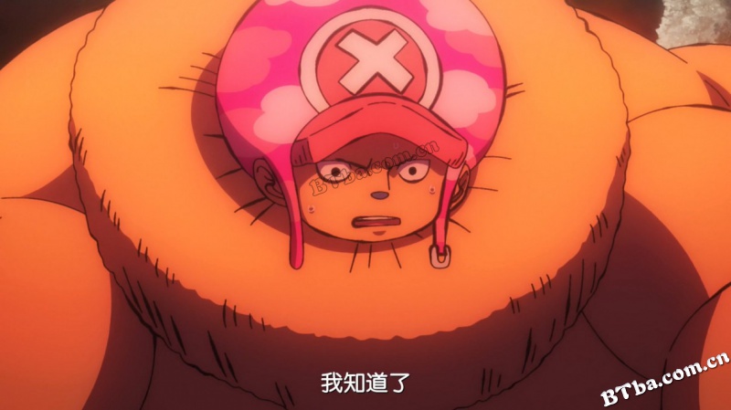 航海王：狂热行动/航海王：夺宝争霸战(台)/海贼王：狂热行动/ONE PIECE STAMPEDE
