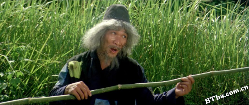 三十六迷形拳/The 36 Crazy Fist
