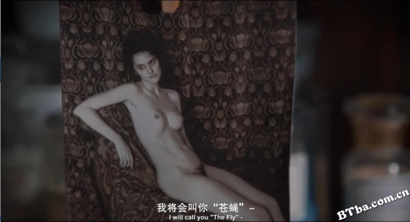 珍品/Curiosa
