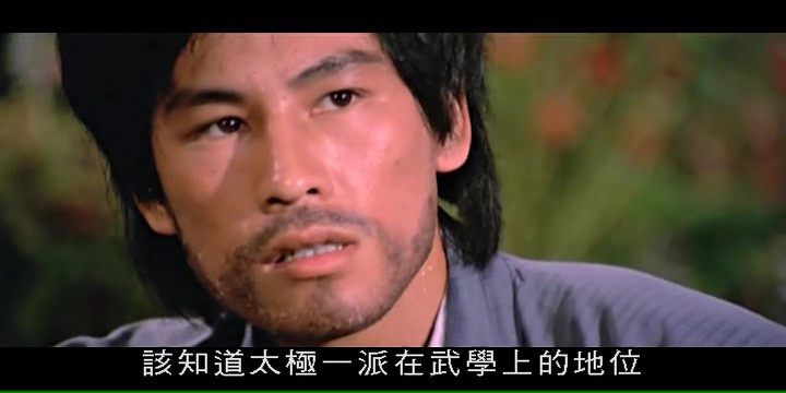 太极拳/The Shadow Boxer