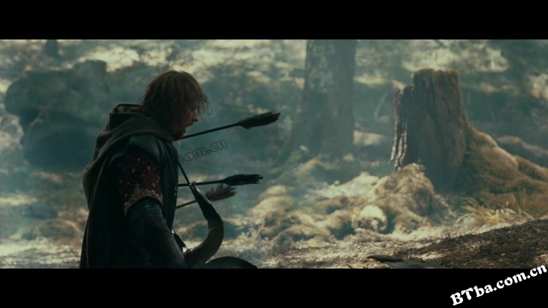 指环王1：魔戒再现/The Lord of the Rings: The Fellowship of the Ring