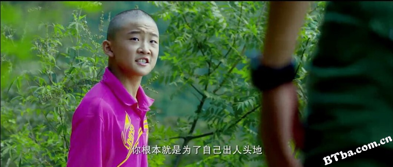 我的功夫梦