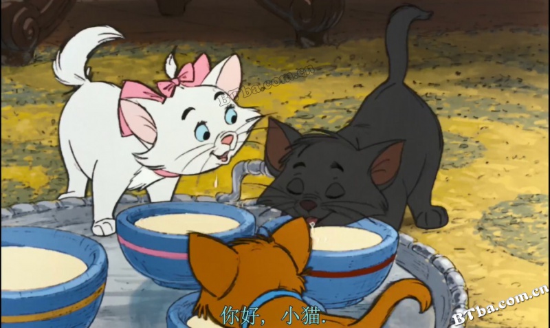 猫儿历险记/富贵猫/贵族猫
