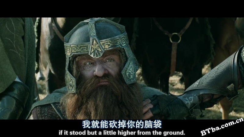 指环王2：双塔奇兵/魔戒二部曲：双城奇谋/指环王II：双塔