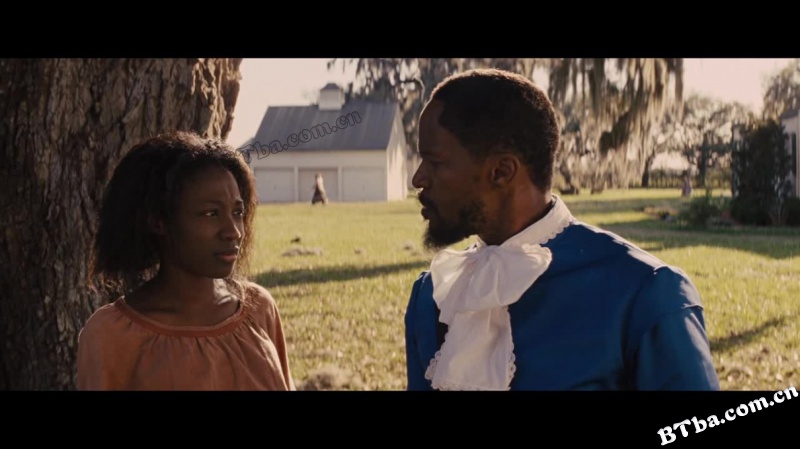 被解救的姜戈/决杀令(台)Django Unchained  