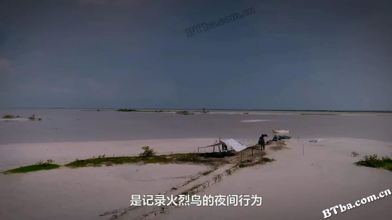 地球的夜晚：夜中取景/地球的夜晚：幕后花絮/Night on Earth: Shot in the Dark