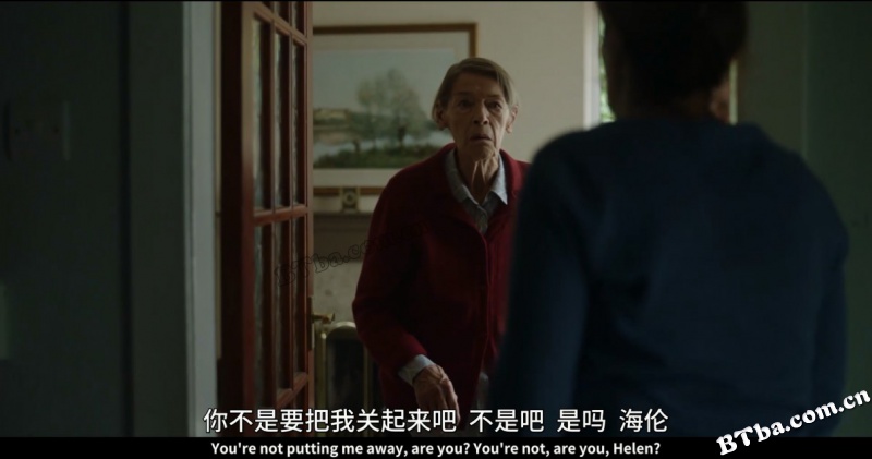 伊丽莎白不见了/Elizabeth is Missing