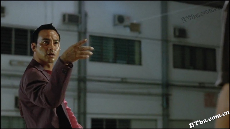 奇逢敌手/Looking for Mr. Perfect