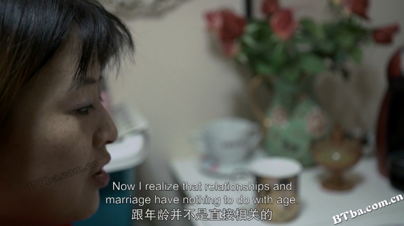 剩女/中国剩女/Leftover Women
