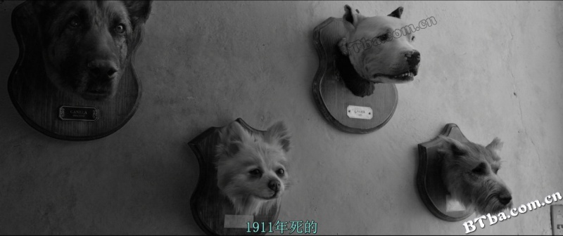 罗马/Roma