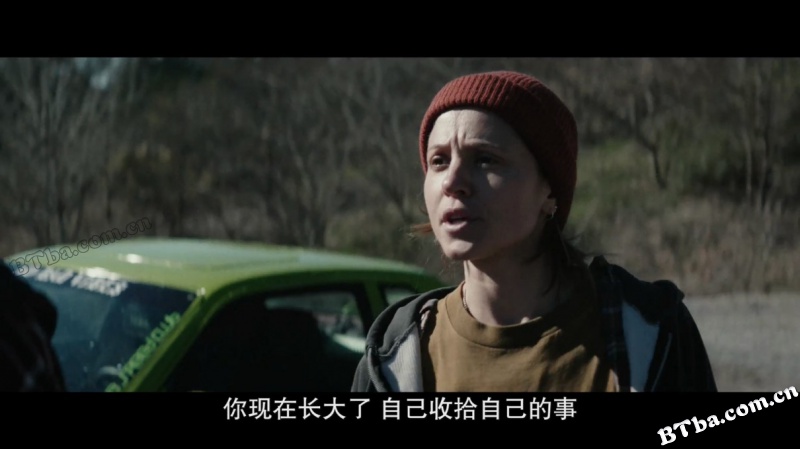 继任蝰蛇/Inherit the Viper