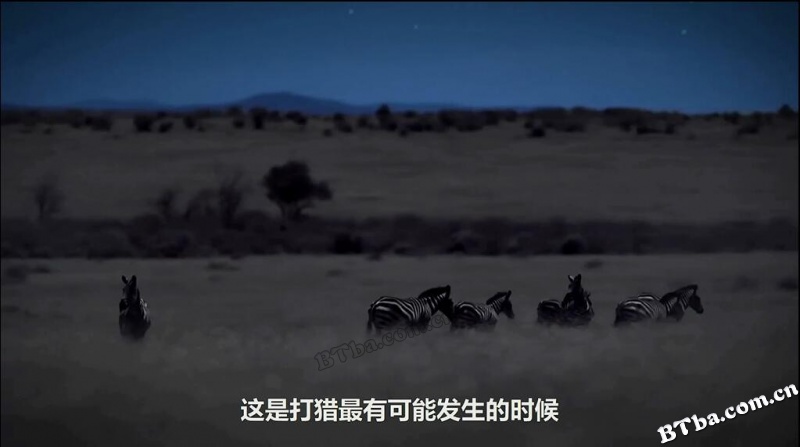地球的夜晚：夜中取景/地球的夜晚：幕后花絮/Night on Earth: Shot in the Dark