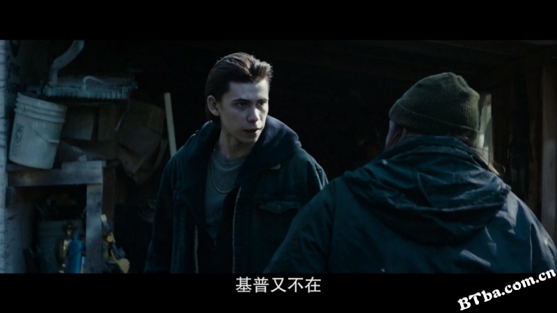 继任蝰蛇/Inherit the Viper