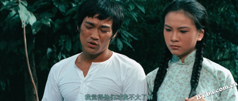 唐山大兄/The Big Boss