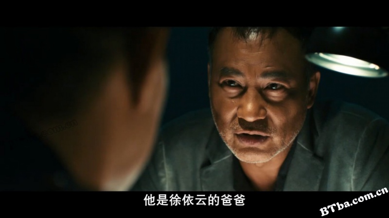大追捕/Night Fall