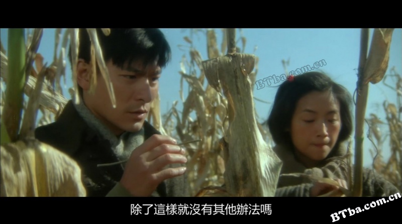 天若有情3烽火佳人/天若有情Ⅲ烽火佳人
