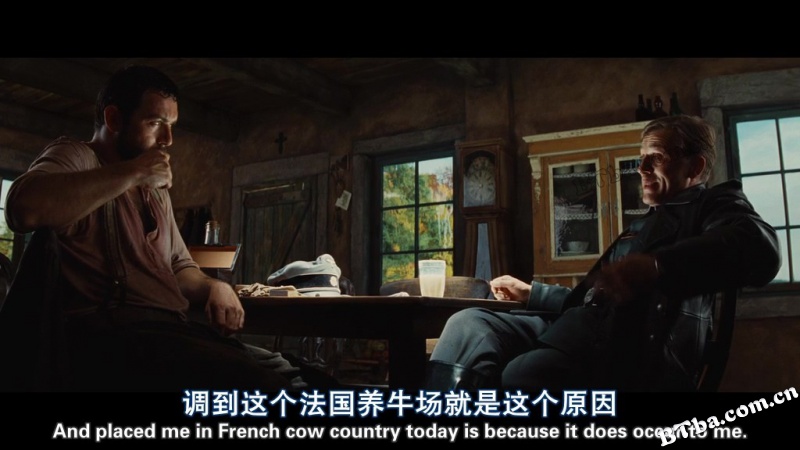 无耻混蛋/恶棍特工(台)/希魔撞正杀人狂(港)/Inglourious Basterds