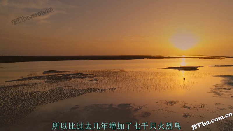地球的夜晚：夜中取景/地球的夜晚：幕后花絮/Night on Earth: Shot in the Dark