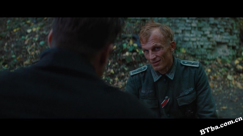 无耻混蛋/恶棍特工(台)/希魔撞正杀人狂(港)/Inglourious Basterds