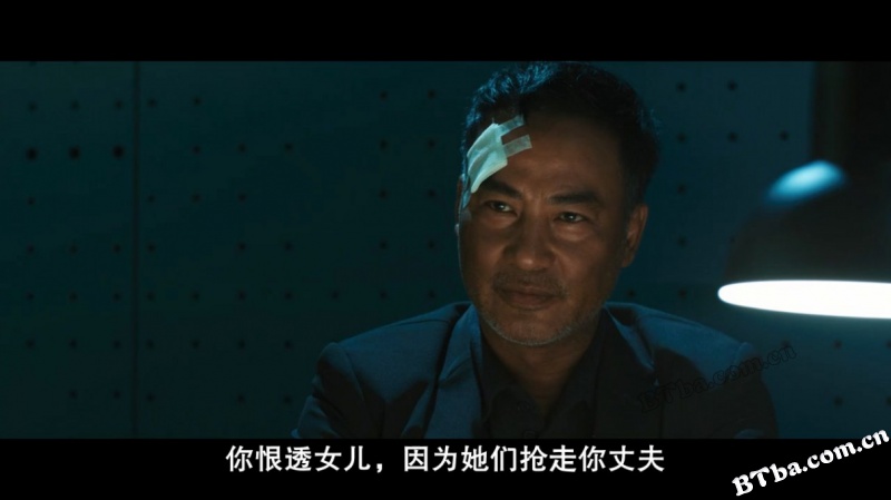 大追捕/Night Fall