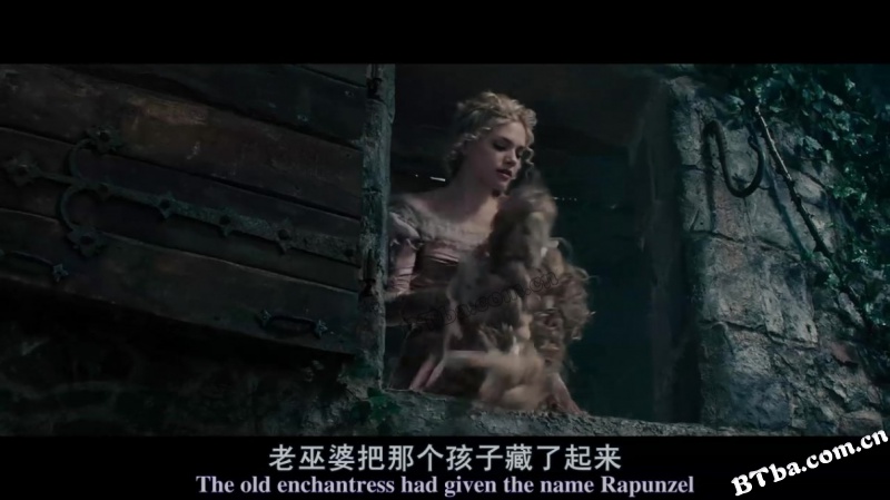 魔法黑森林/拜访森林/走进森林/Into the Woods