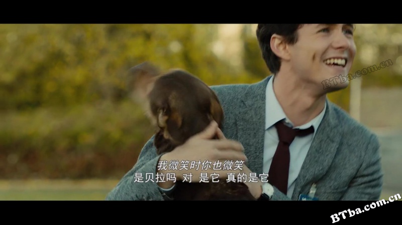一条狗的回家路/A Dog's Way Home