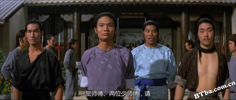 洪拳与咏春/Shaolin Martial Arts