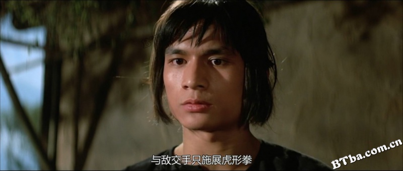 洪拳与咏春/Shaolin Martial Arts