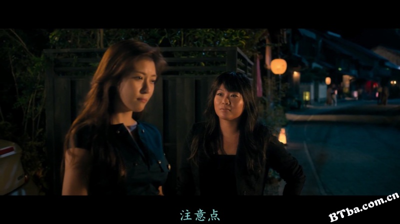 追捕/Manhunt