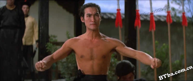 洪拳与咏春/Shaolin Martial Arts