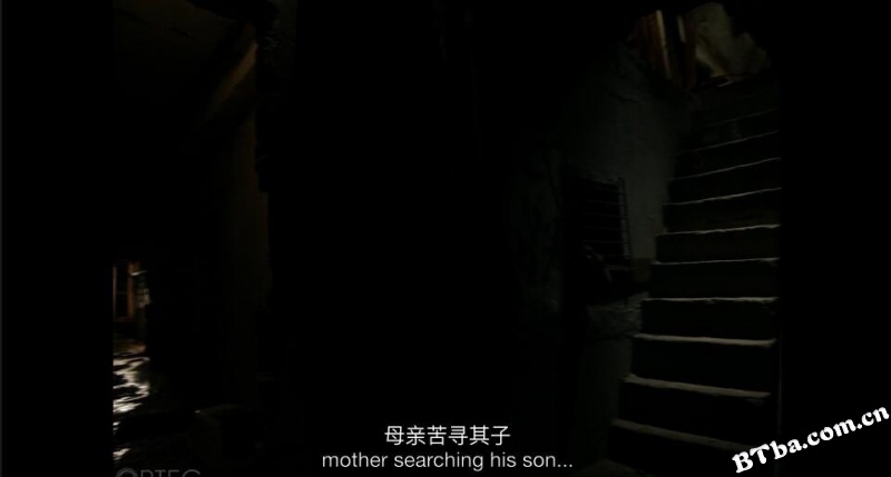 维塔利娜·瓦雷拉/梦回里斯本(台)/火焰的女儿/Vitalina Varela
