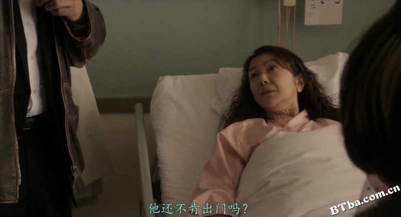 铃木家的谎言/鈴木家の嘘