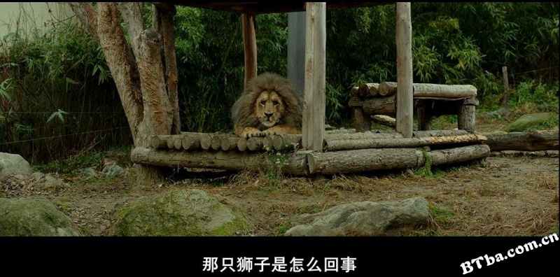 秘密动物园/兽头救兵(港)/超“人”气动物园(台)/해치지않아