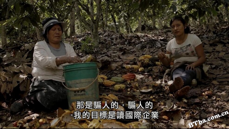 工艺巧克力起源故事/歡迎來顆巧克力 (台)/Setting the Bar: A Craft Chocolate Origin Story