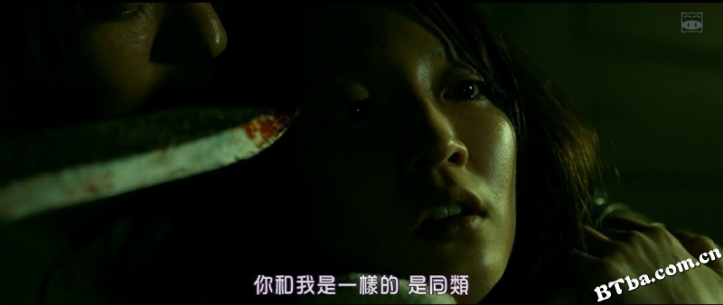 看不见的目击者/盲证日本版/見えない目撃者