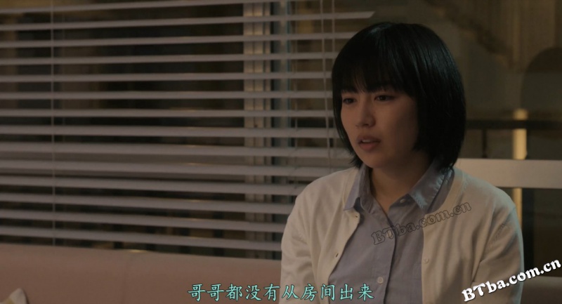 铃木家的谎言/鈴木家の嘘