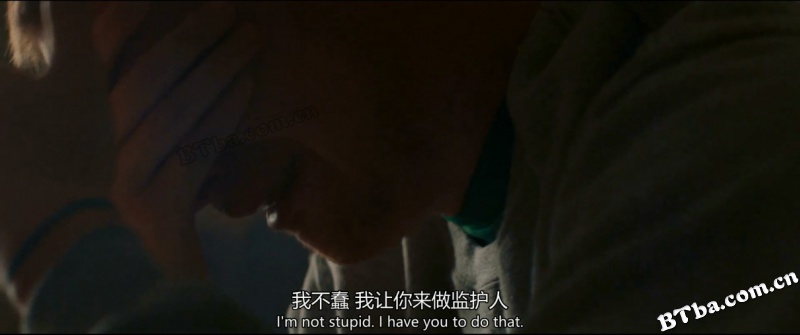 宝贝男孩/宝贝童年(港)/我的宝贝男孩(台)/Honey Boy