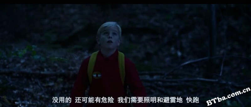 鹅小子/Gooseboy