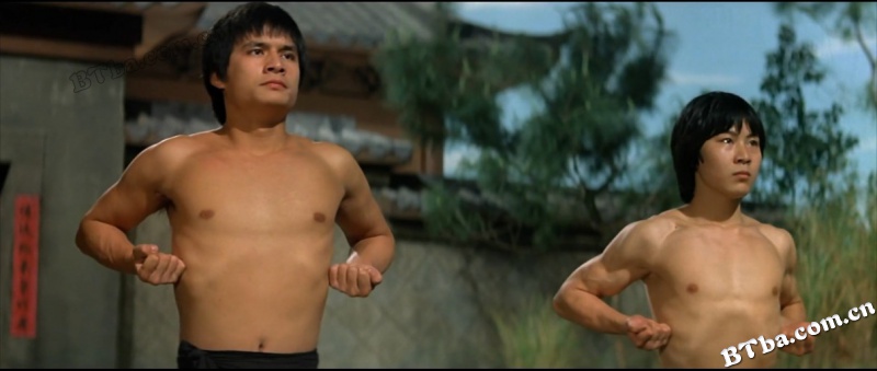 蔡李佛小子/New Shaolin Boxers