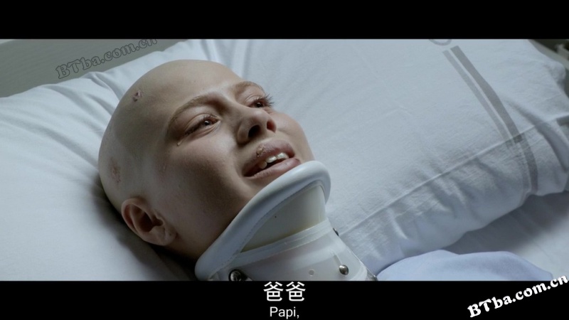 卡米诺
