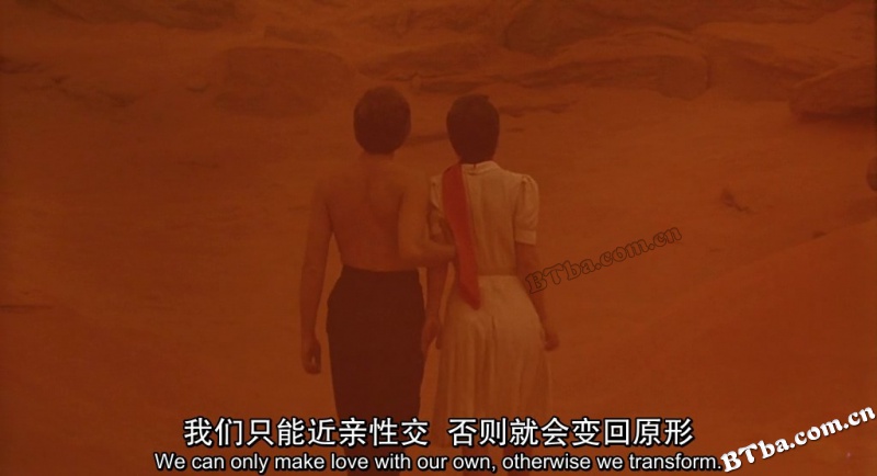 豹人/豹妹/豹女/Cat People