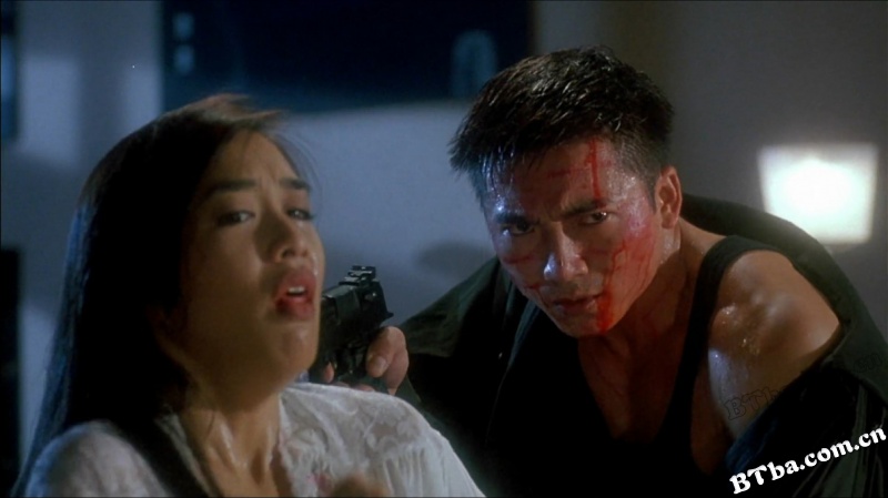 中南海保镖/The Bodyguard from Beijing