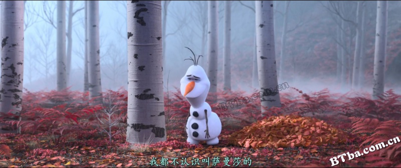 冰雪奇缘2/Frozen II
