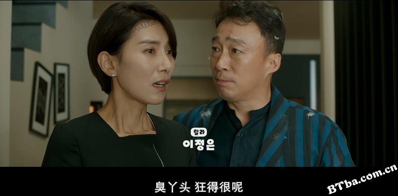 动物园先生/好狗特攻队(港)/明明会说话(台)/미스터 주: 사라진 VIP